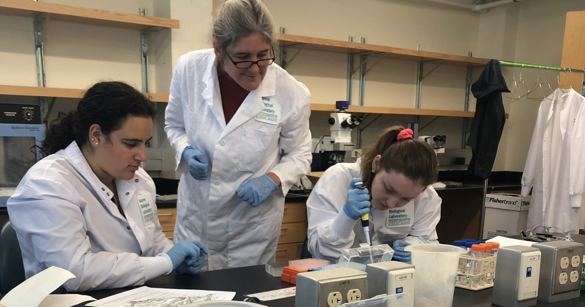 A new point of view at the Marine Biological Laboratory | The College