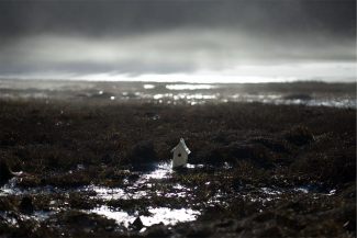 Martin Girardi, eddies, 2020. Eight digital photographs.
