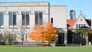 Fall Campus Tree
