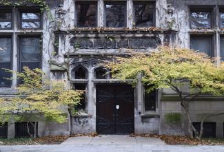 Trees and Door