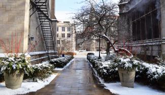 Winter Scene